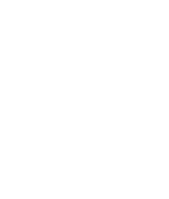 irem-footer-logo